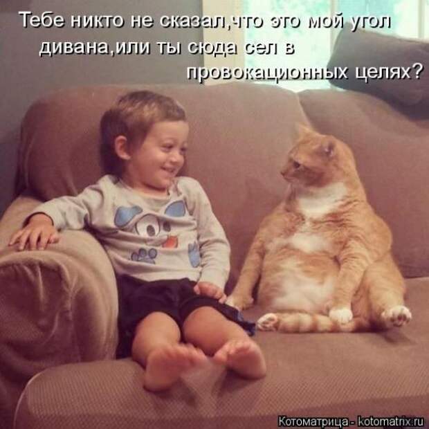 Котоматрицы (картинки с надписями)