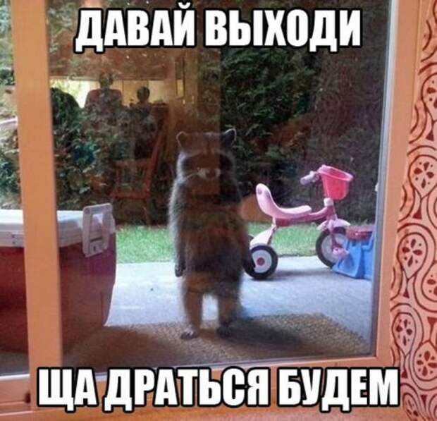 Классные картинки и фото приколы (45 шт)