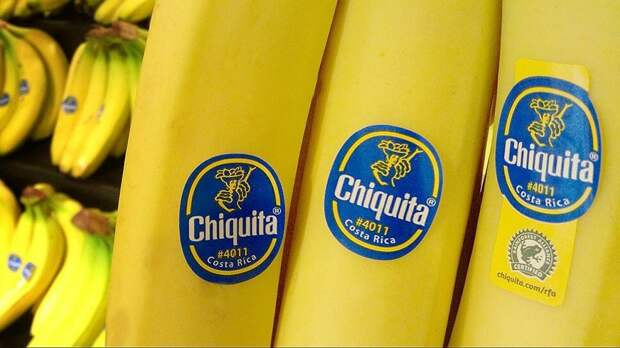 Что означают наклейки на бананах: прочитал книгу «Мусорная революция» и делюсь