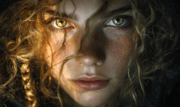 Тест: ответьте на 5 вопросов, а мы скажем, какое у вас тотемное животное по бимбо-стоицизму