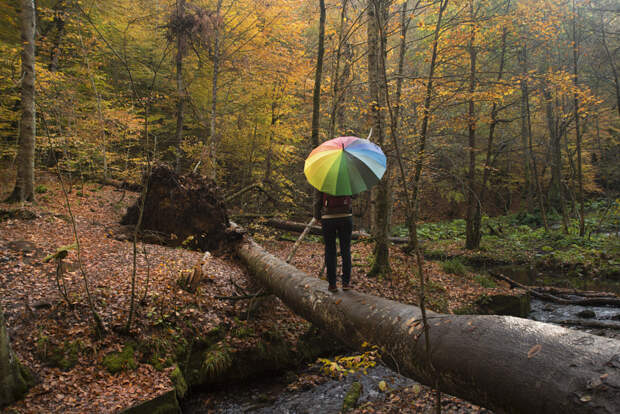 Umbrella by atalay karacaörenli on 500px.com