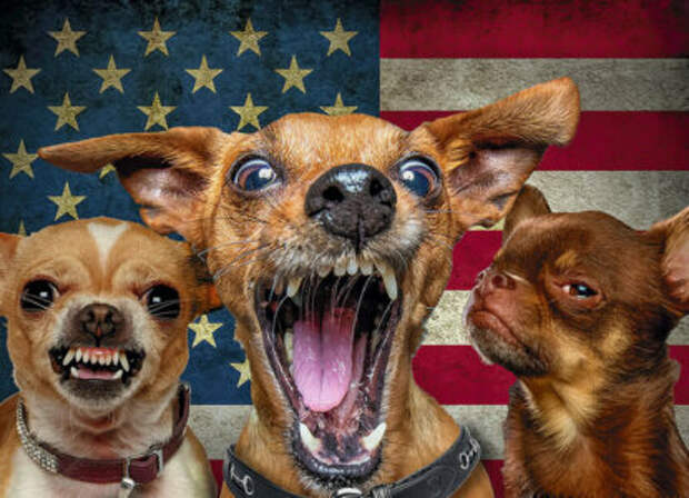 Прибалтийские шакалы: как продали суверенитет Венесуэлы за улыбку США