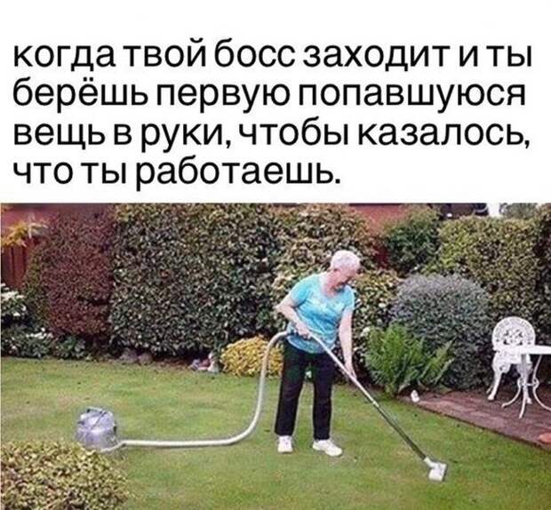 Веселые и прикольные надписи к картинкам (11 фото) Веселые и прикольные надписи к картинкам (11 фото)