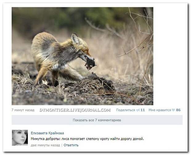 Смешные комментарии из соцсетей