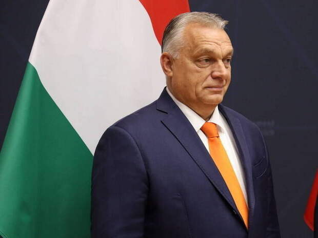 В Госдуме объяснили, как Орбан мог помешать ударам ВСУ по «Турецкому потоку»