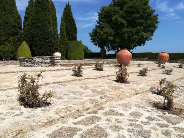 Фото: Анна Попкова