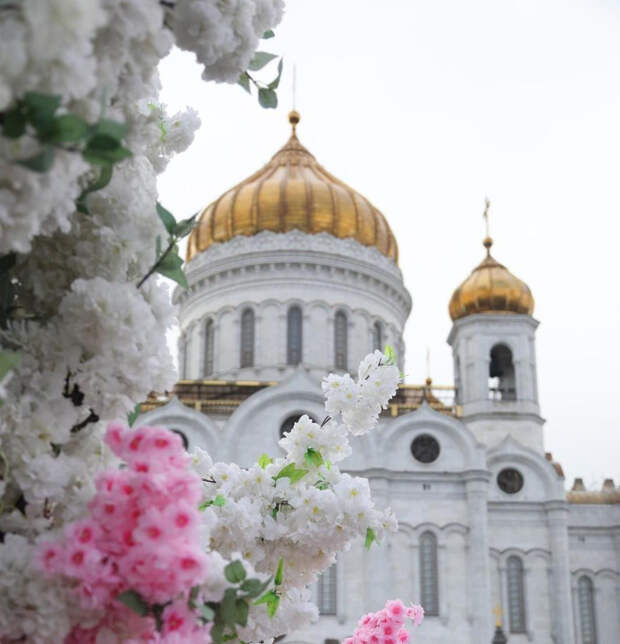 В Храм Христа Спасителя в Москве привезли Чудотворный Тихвинский образ