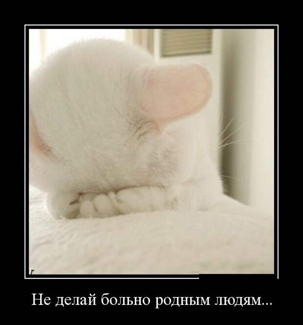 Демотиваторы дня от 2-09-2014