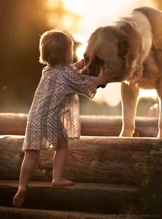 Лето в деревне