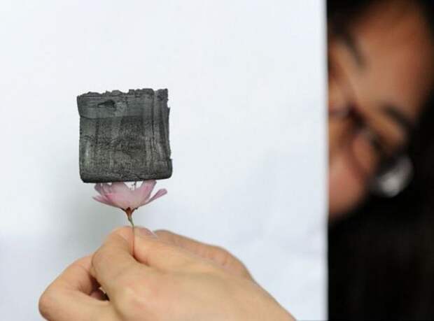 графеновый аэрогель - самый легкий материал в мире, фото 4