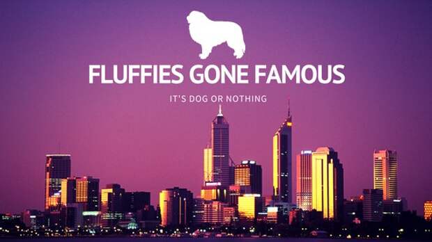 #FluffiesGoneFamous | 2