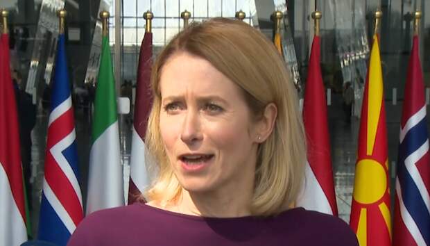 Володин рекомендовал Каллас обратиться к врачу после слов о нападении России