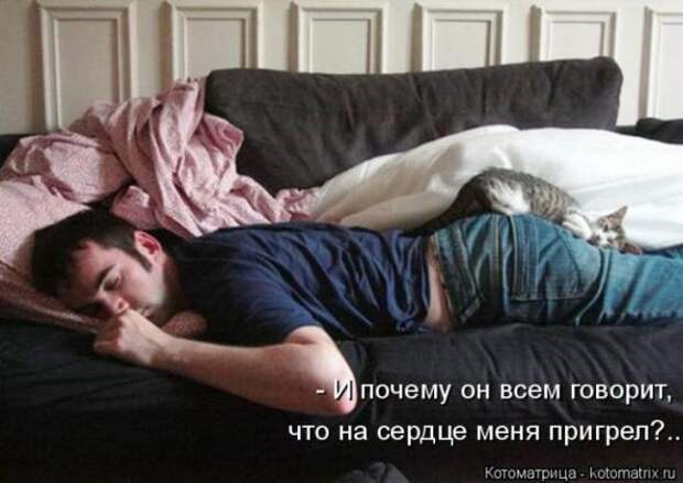 Котоматрицы (картинки с надписями)