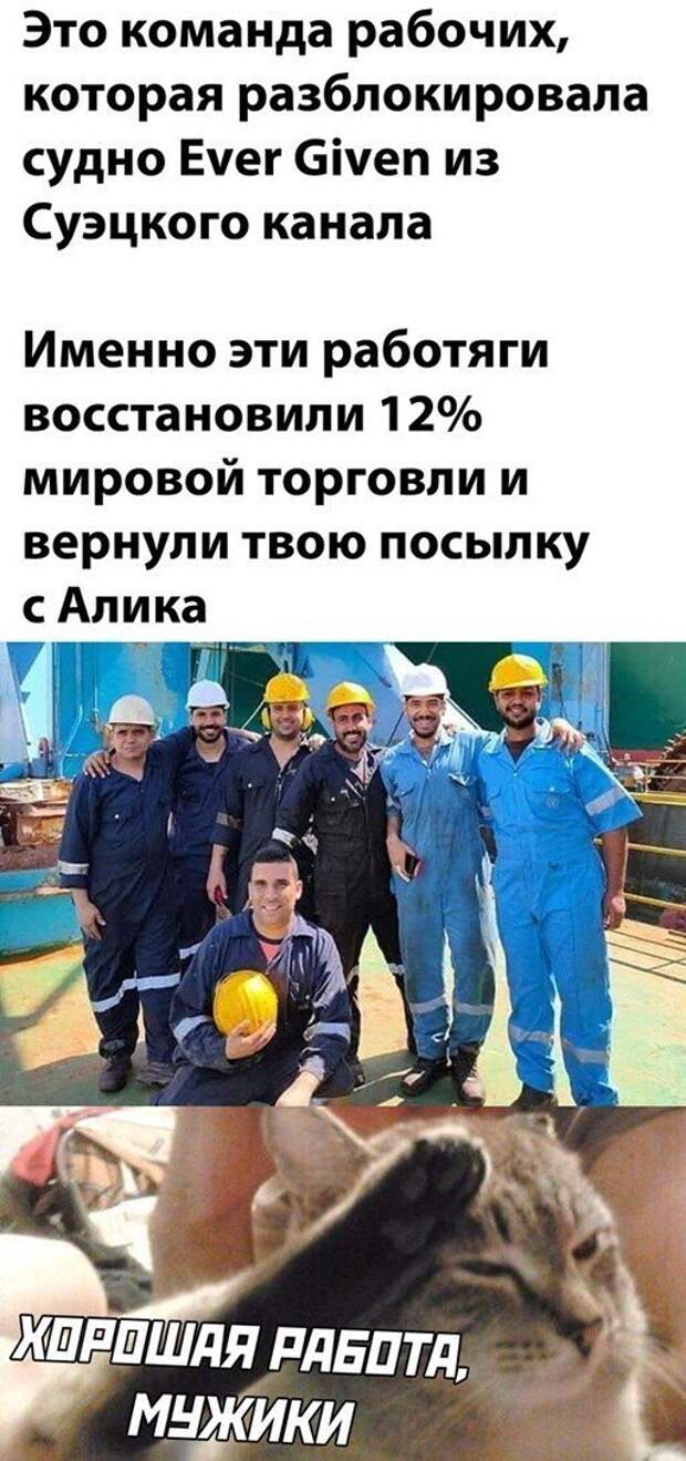Смешные и познавательные картинки