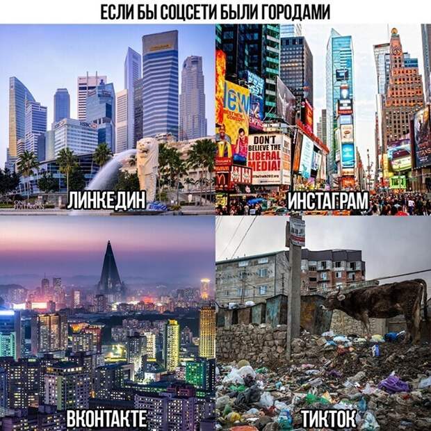 Смешные и познавательные картинки