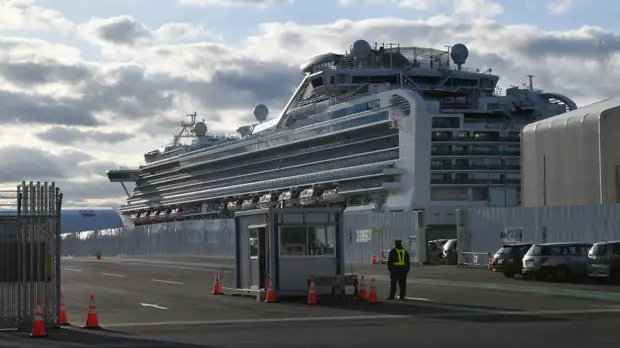 «Находятся в инфекционных стационарах»: у трёх эвакуированных с лайнера Diamond Princess россиян подтверждён коронавирус