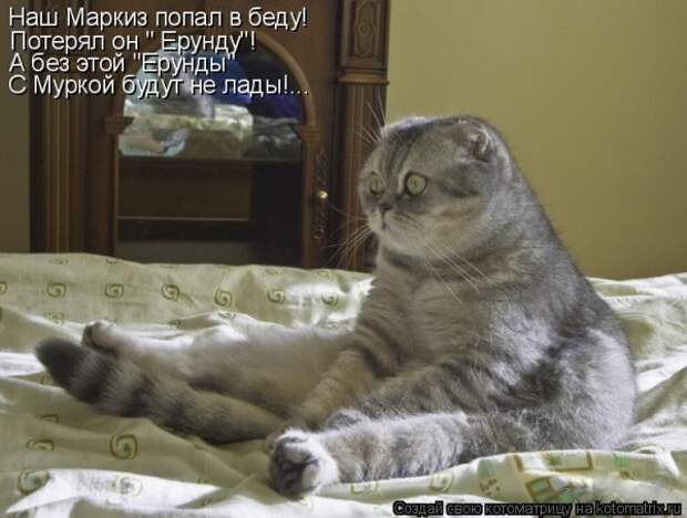 Мысли вслух :)