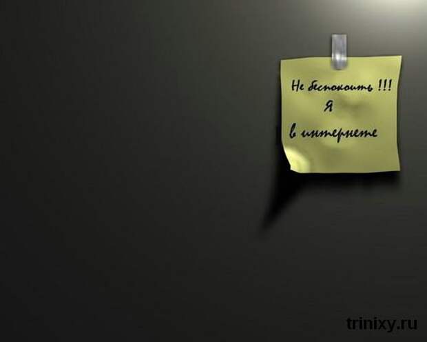 День Интернета в России. Подборка прикольных картинок (67 картинок)