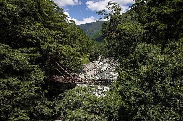 Япония. Сикоку. Плетёный мост в долине Ия. история, мосты, путешествия, факты, фото