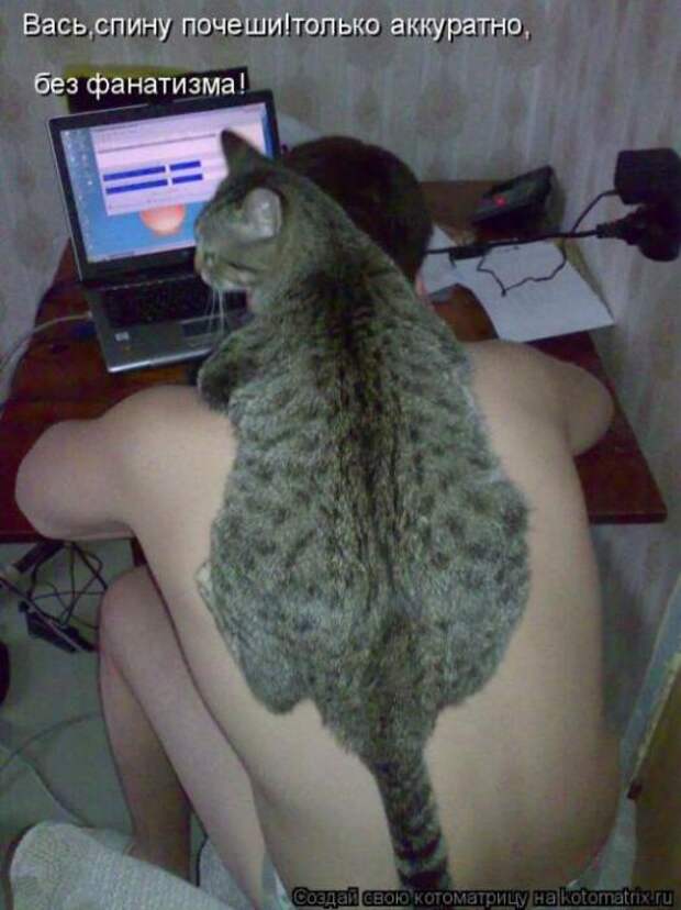 Котоматрицы(картинки с надписями)