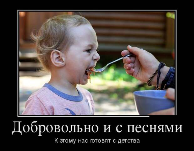 Демотиваторы дня от 2-09-2014