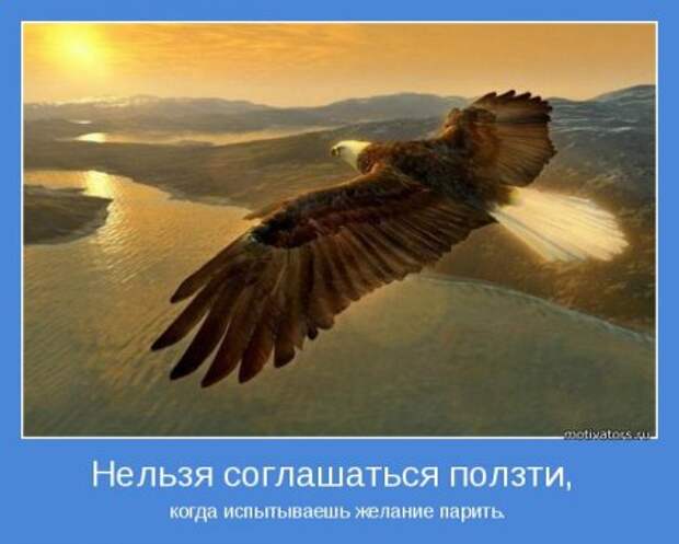Мотиваторы. Побеждай и будешь лучшим!