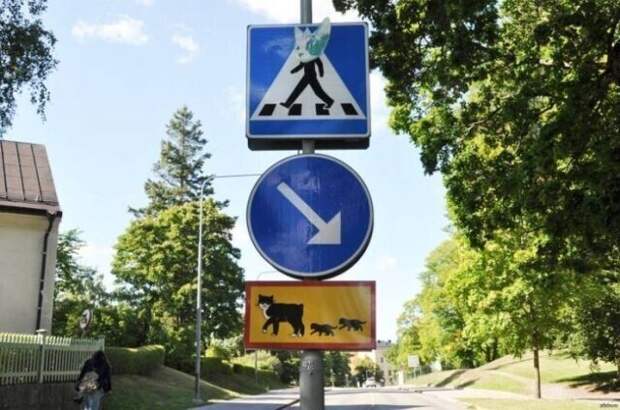 В Упсале есть дорожный знак с надписью: "Осторожно, кошка с котятами переходит дорогу"
