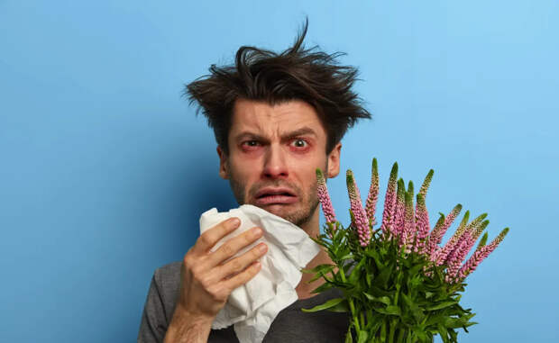 Окна на замок и очки не для стиля: врач раскрыла секрет выживания аллергиков в сезон