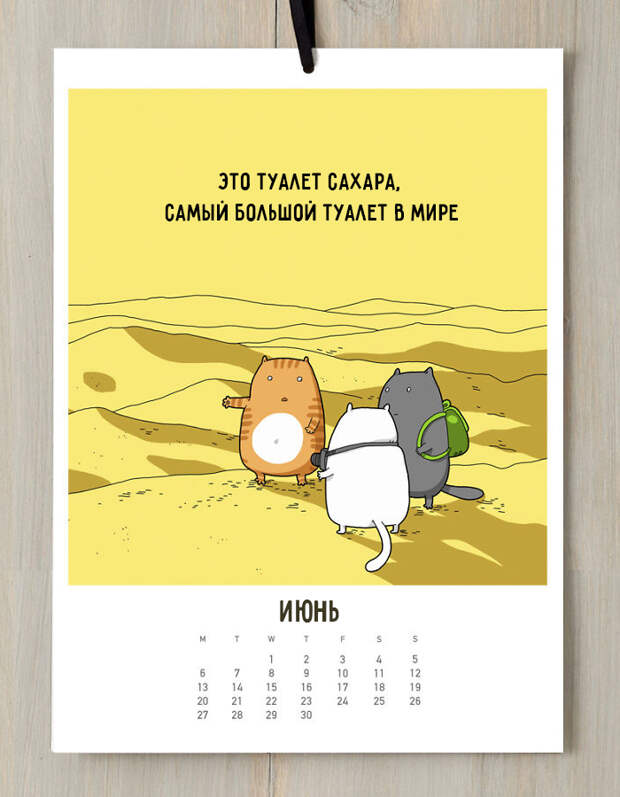 кошачий календарь 2016 