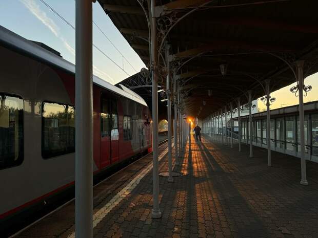 Беременная девушка провалилась между электричкой и платформой в Москве