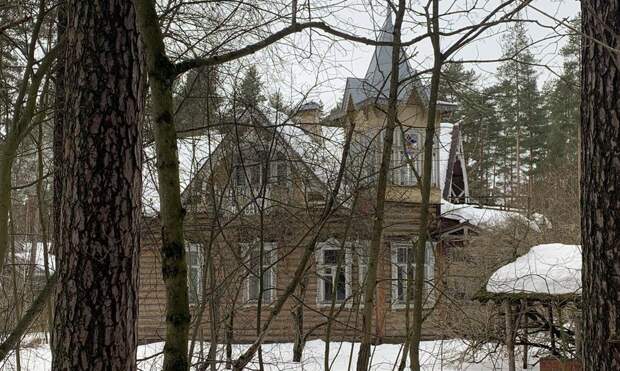 Три деревянные дачи в Курортном районе Петербурга признали памятниками
