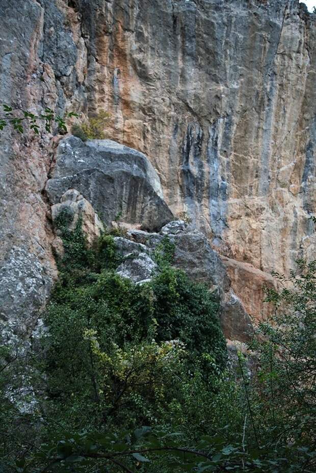 Никитские скалы - Ялта Никитские скалы - Ялта