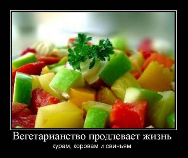 Развесёлые демотиваторы!