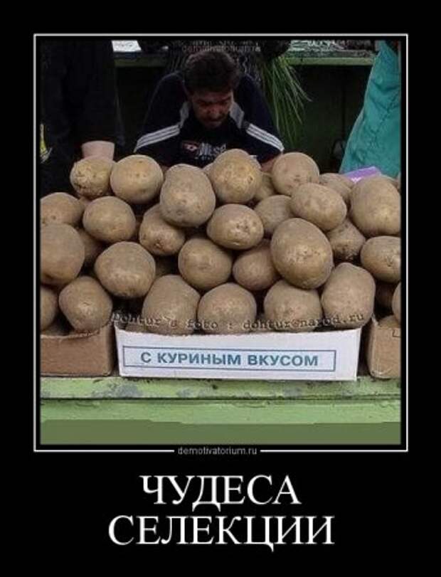 Новые демотиваторы, без улыбки не уйдешь!