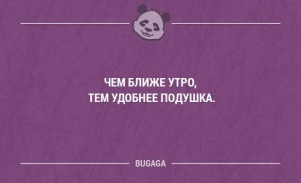 Прикольные фразы в картинках с надписями. Часть 61 (17 шт)