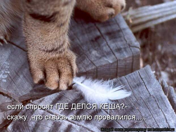 если спросят ГДЕ ДЕЛСЯ КЕША?- скажу ,что сквозь землю провалился.....