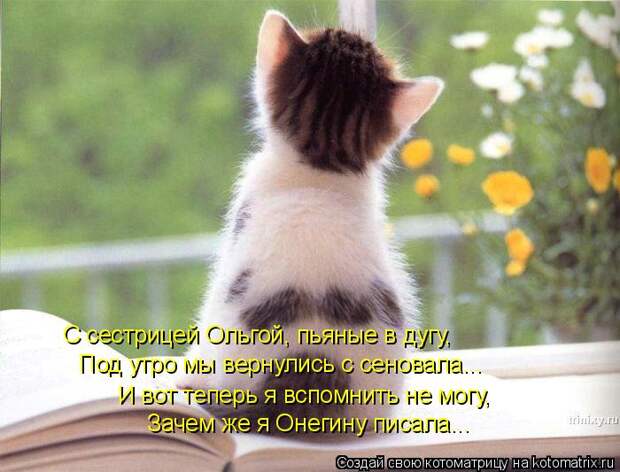 Новые котоматрицы с классным задором (30 фото) Новые котоматрицы с классным задором (30 фото)