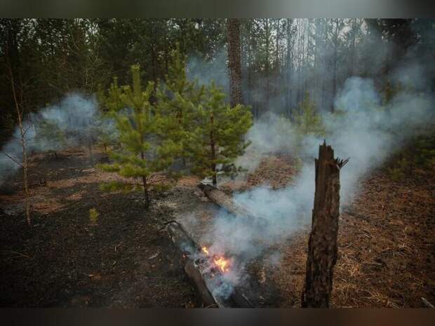 Два режима повышенной готовности отменили в Забайкалье