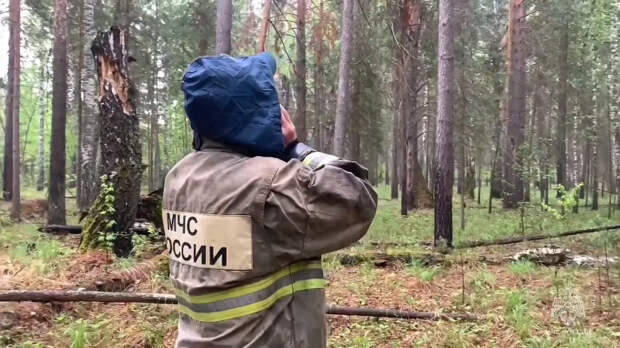 В Свердловской области нашли двух детей, которые провели в лесу 4 дня