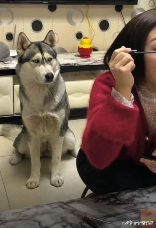 Сказала, что идём гулять