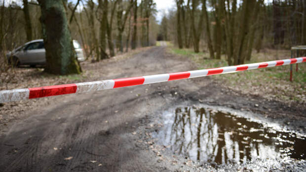 Убийство Айгуль Сайлыбаевой в Германии: выдаст ли Россия семью Донцовых