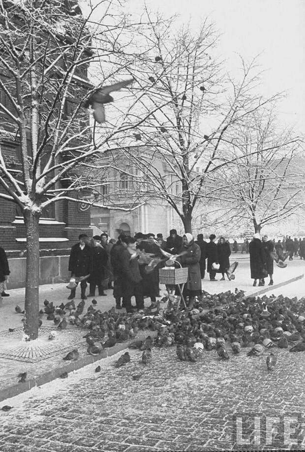 Какой была Москва в декабре 1959 года зима, москва