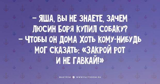 15 классных одесских шуток