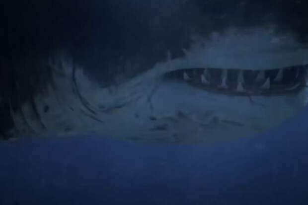 На пляже Австралии нашли зубы гигантской акулы