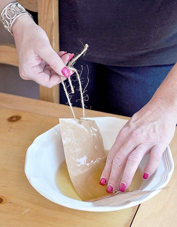 homemade-fly-paper-5 (400x511, 192Kb)