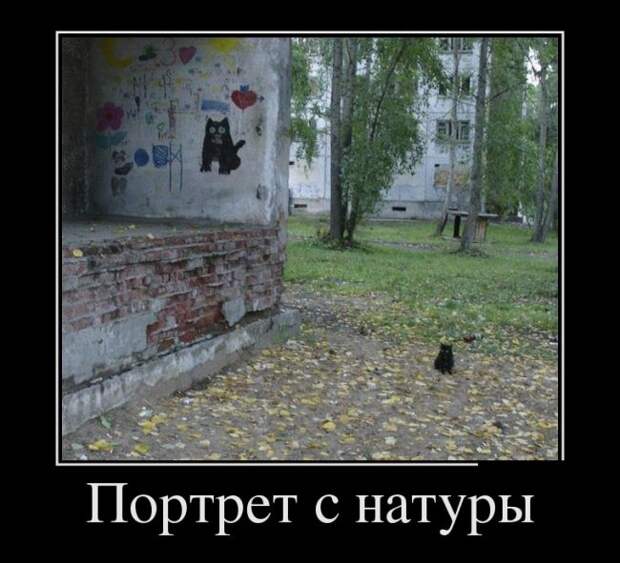 Демотиваторы (30 фото)