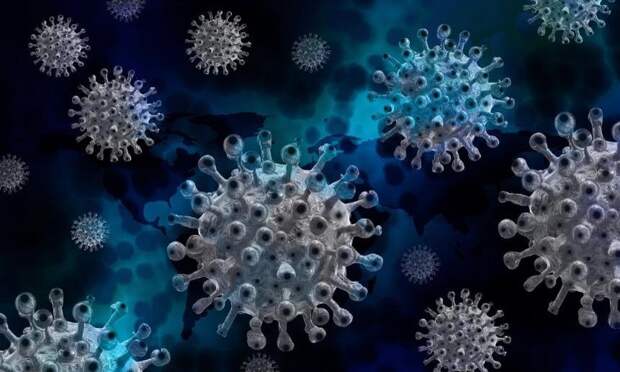 В Поморье за сутки выявили 276 новых случаев заражения коронавирусом