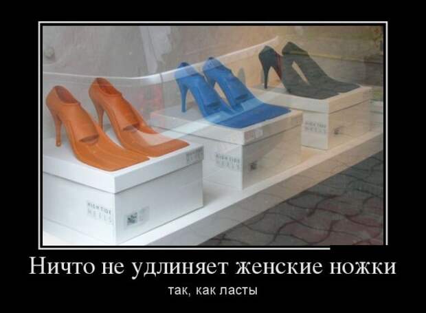 Демотиваторы (30 фото)