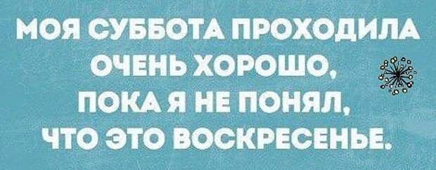 Свежая порция позитива: 12 уморительных анекдотов и историй