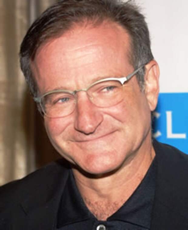 www.giantbomb.com-552957-robin_williams_1_license_to_wed